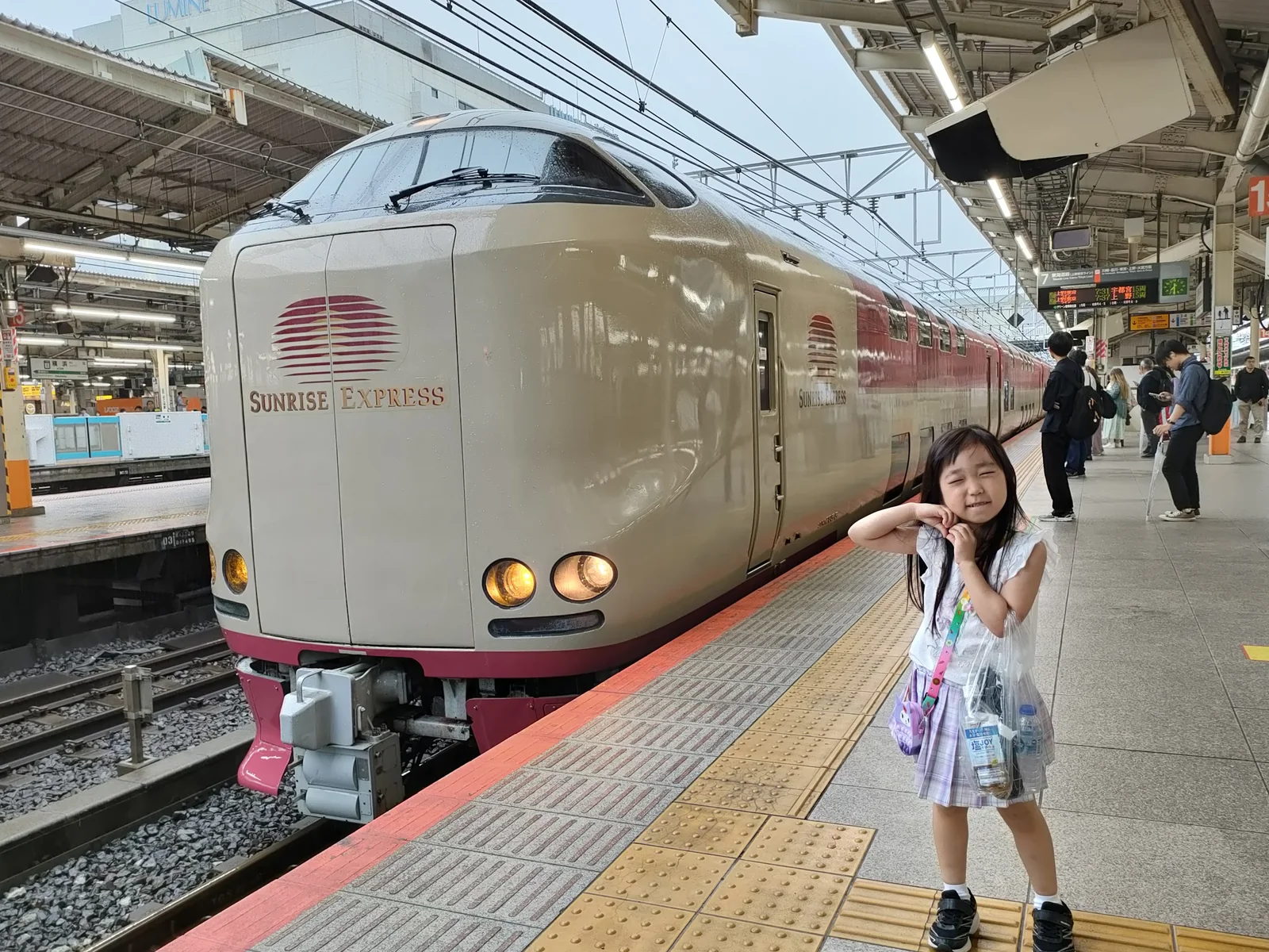 寝台列車サンライズの利用方法と料金について